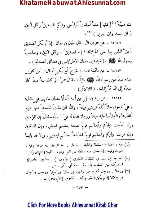 ابوسفیان کا خلافت ابوبکر کے بارے میں موقف