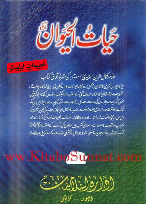 جب یزید کا بیٹا مسند خلافت پر بیٹھا