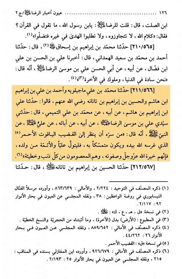 امام اور امامت کی فضیلت امام رضا علیہ السلام کی زبانی