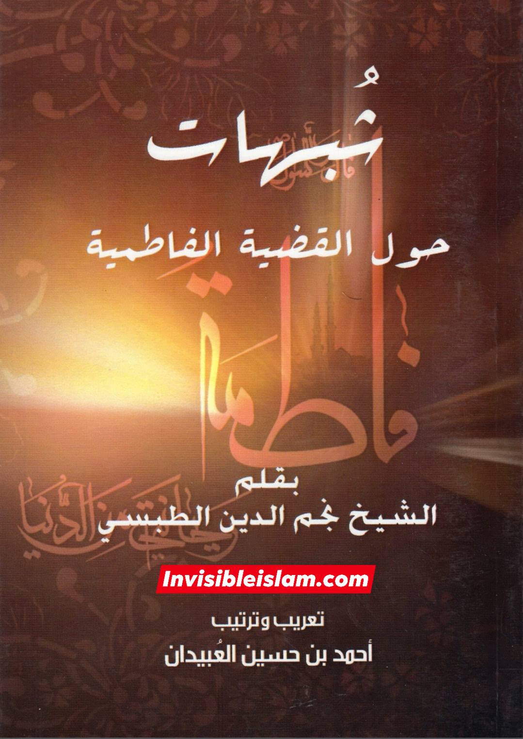 امام علی ع نے بنتِ رسول ص کا قصاص کیوں طلب نہیں کیا ؟