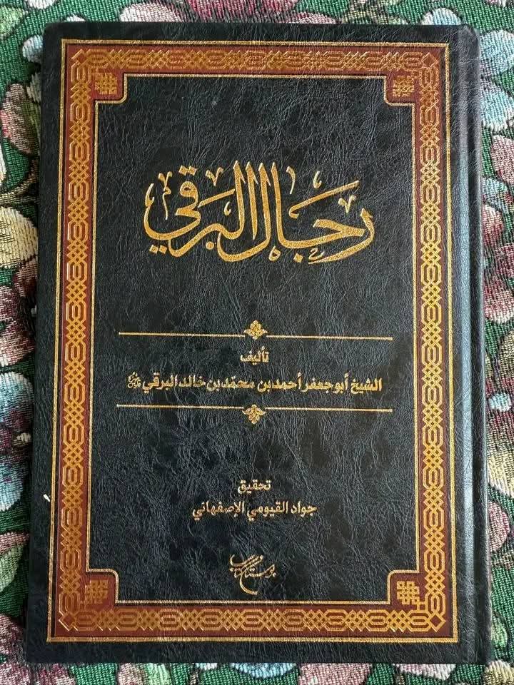 وہ کبار صحابہ جنہوں نے ابوبکر کی مخالفت کی تھی جب وہ زبردستی کے خلیفہ بن گئے