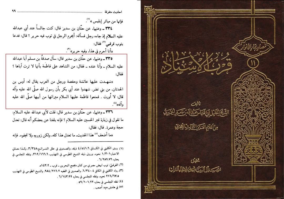 جھوٹی گواہی کس نے دی ؟ (شیعہ کتاب)