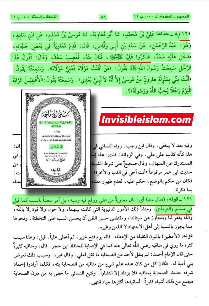 معاویہ کی علی ع کے بارے میں بدگوئی