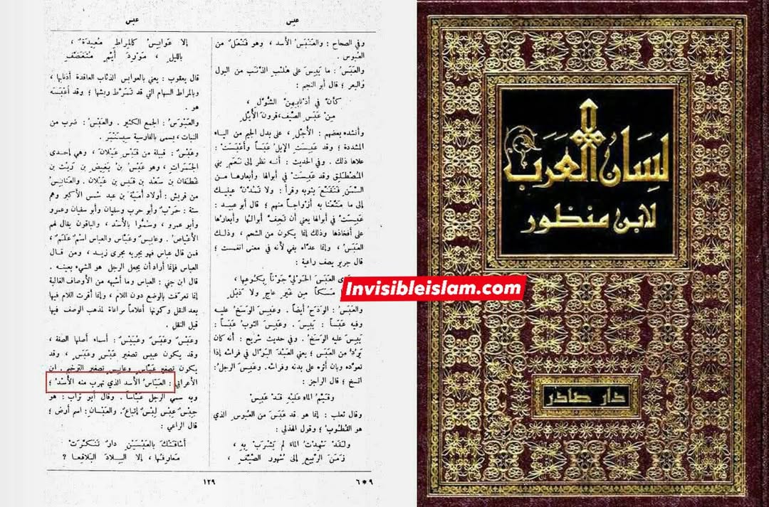 لفظ عباس کے معنی