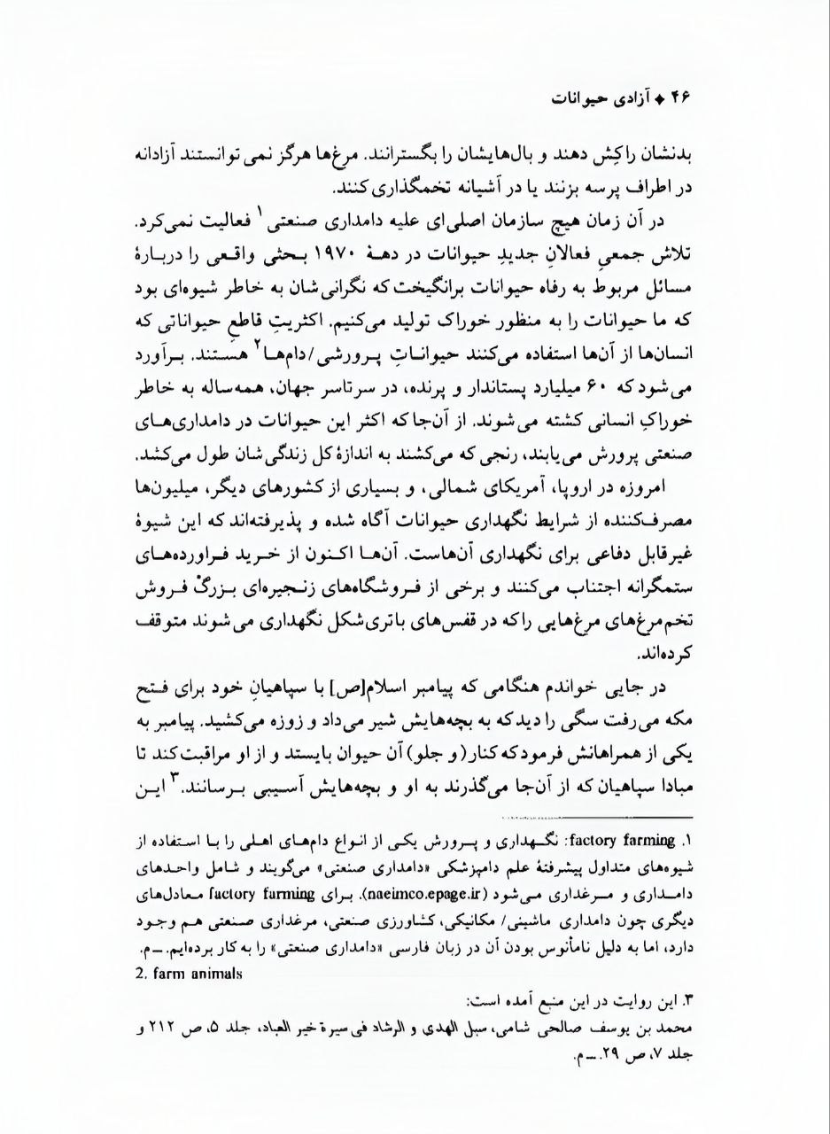 رسولِ اسلام ﷺ کی جانب سے حیوانات کے حقوق کی رعایت