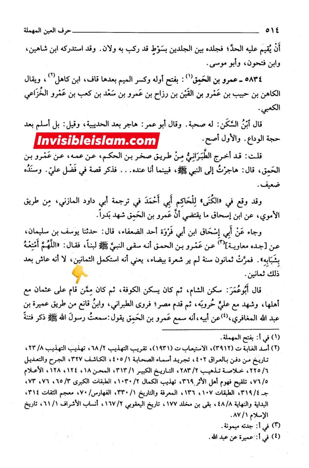 صحابی عمرو اور قاتلین عثمان