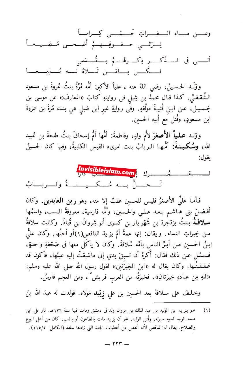 شهربانو سلام الله علیہا (منابع مخالفین کے مطابق)