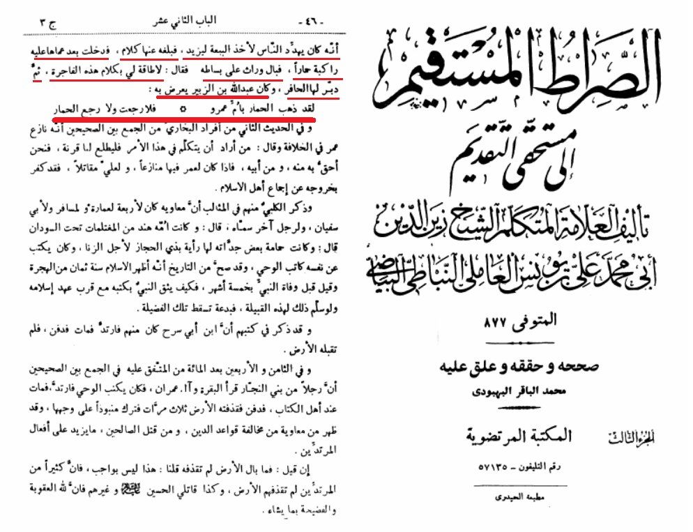 ام المومنین جناب عائشہ بنت ابی بکر کو کس نے مارا