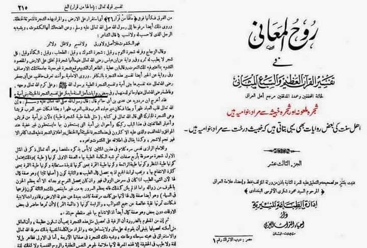 شجرہ ملعونہ