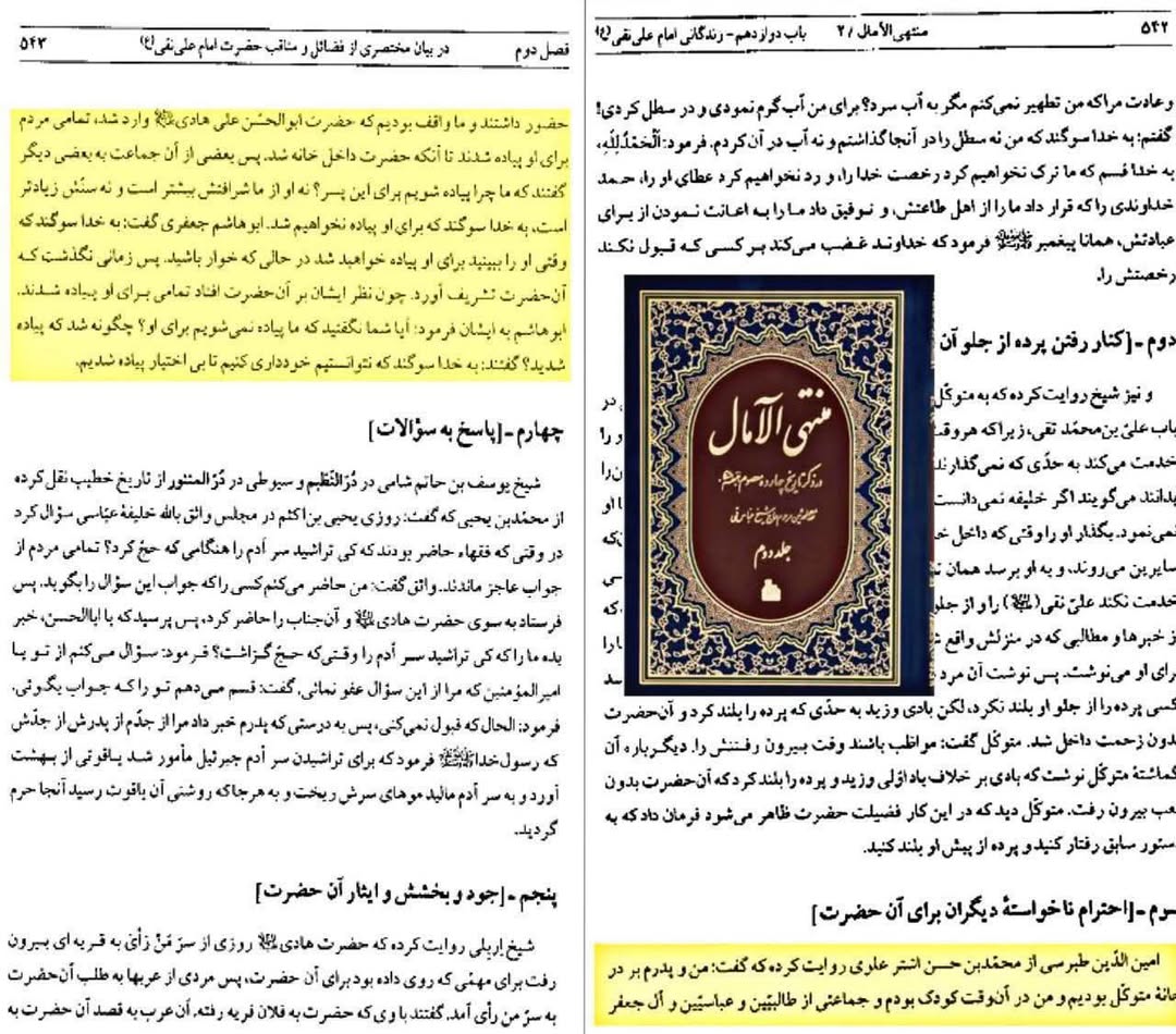 امام علی نقی علیہ السلام کی ہیبت