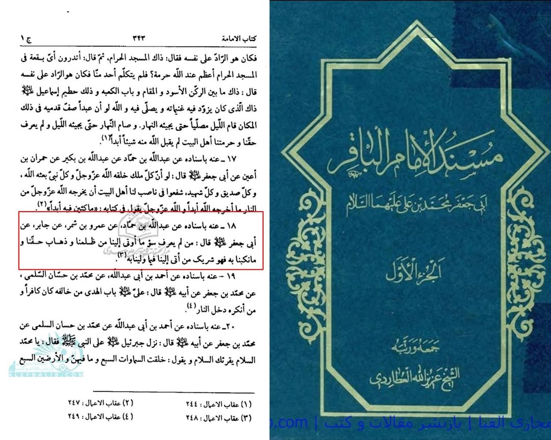 روایاتِ شہادتِ سیدہ زھراء ع اور شہادت محسن ع متواتر ہیں Post-2/2
