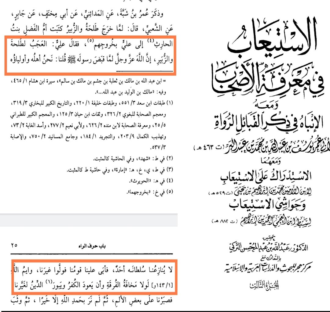 امام علی ؑ کی اپنی حکومت  کے چھن جانے پر صبر اور خاموشی