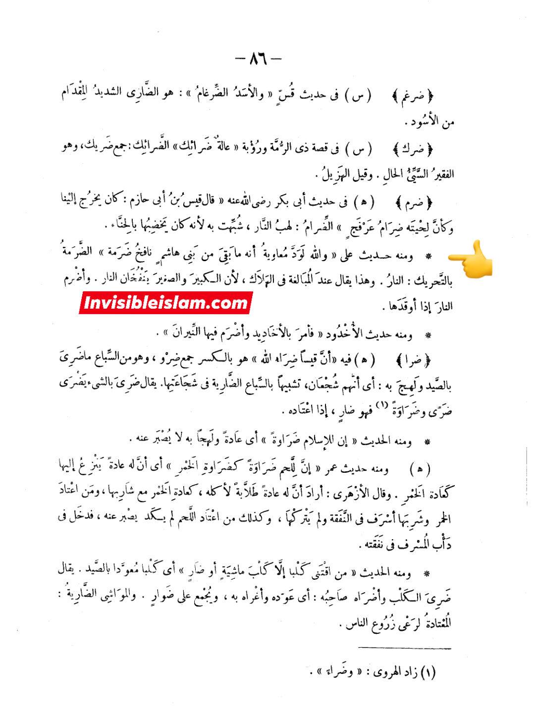معاویہ کا بنو ہاشم سے دشمنی رکھنا