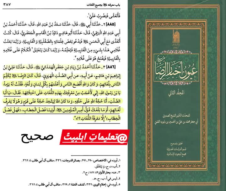 امام رضا علیہ السلام کی تمام زبانوں سے آشنائی