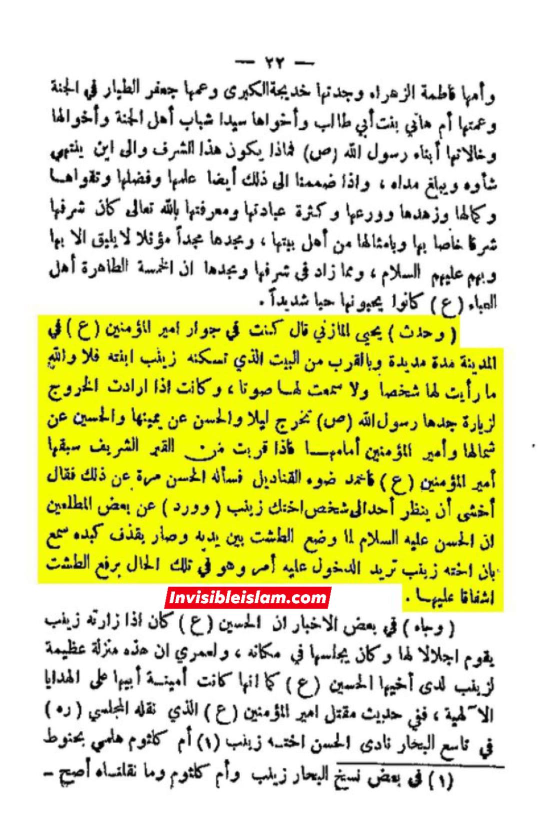 عفت و حیاء حضرت زینب سلام الله علیہ