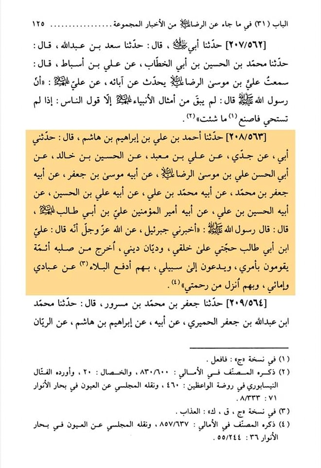 امام اور امامت کی فضیلت امام رضا علیہ السلام کی زبانی