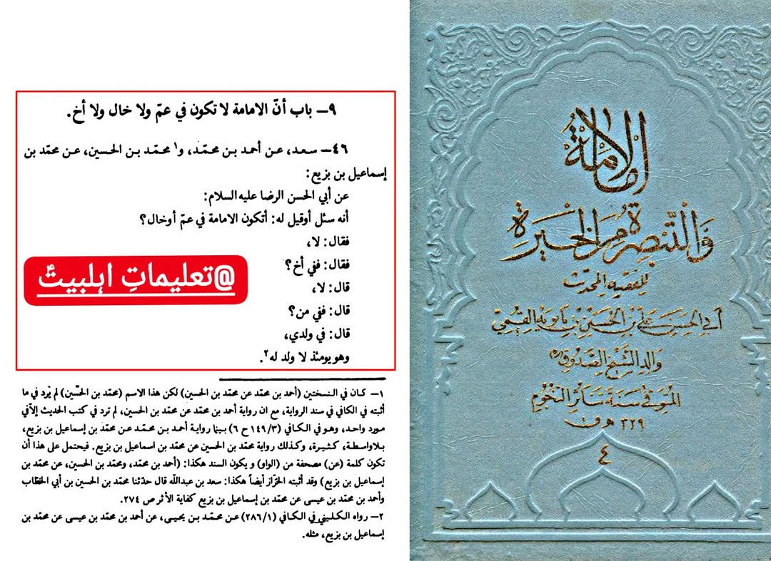 امام جواد علیہ السلام کی امامت، امام رضا علیہ السلام کی زبانی