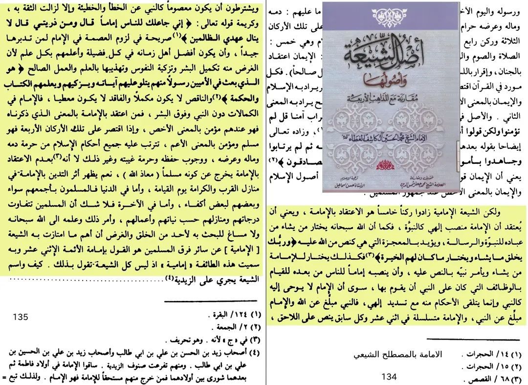 امامت کا شیعہ اصطلاح میں مطلب