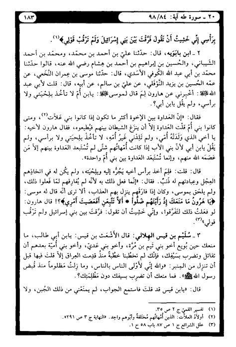 تلوار اٹھا کر قیام کیوں نہیں کیا ؟ (شیعہ کتب)