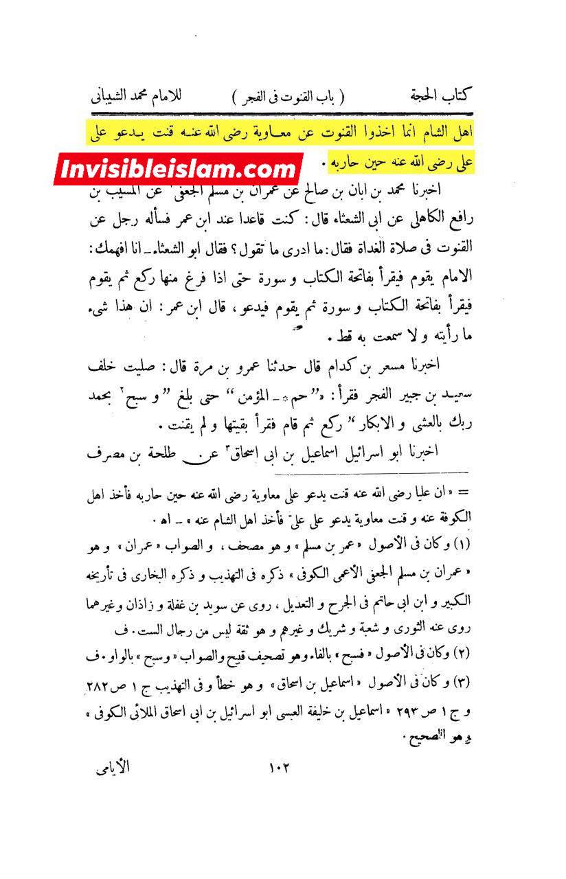 امیرالمؤمنین علیہ السلام کی طرف سے معاویہ پر لعنت