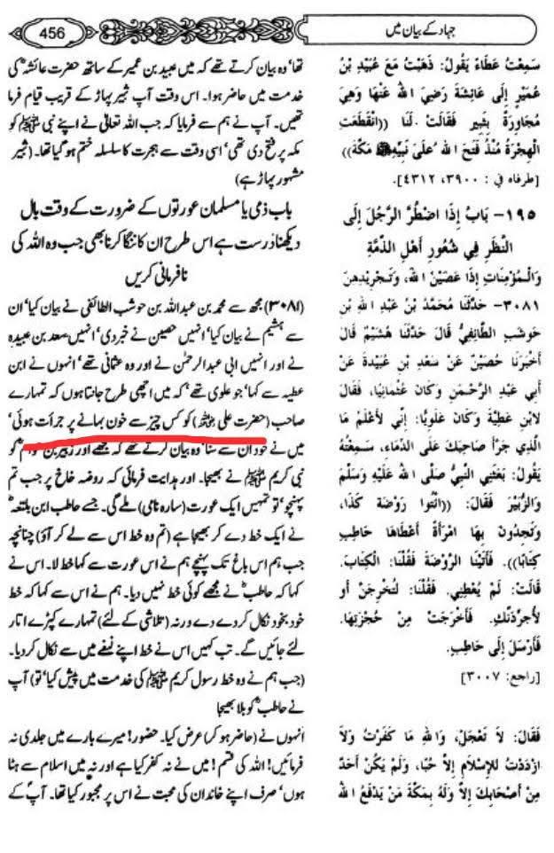 اگر حضرت علی علیہ السلام شیخین کے خلاف تلوار اٹھاتے ، تو کیا کچھ سننا پڑتا ؟