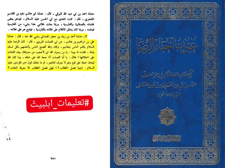 امام رضا علیہ السلام کی تمام زبانوں سے آشنائی