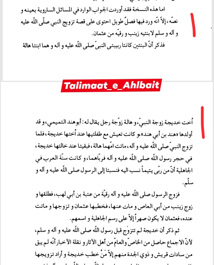 کیا حضرت خدیجہ (علیہا السلام) کی حضرت زہرا (علیہا السلام) سے پہلے بھی بیٹیاں تھیں؟ Post 2