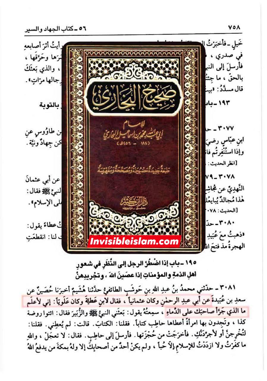 اگر حضرت علی علیہ السلام شیخین کے خلاف تلوار اٹھاتے ، تو کیا کچھ سننا پڑتا ؟
