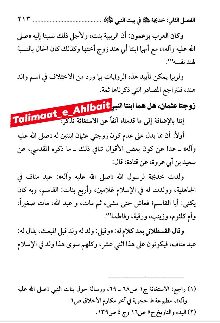 کیا حضرت خدیجہ (علیہا السلام) کی حضرت زہرا (علیہا السلام) سے پہلے بھی بیٹیاں تھیں؟ Post 2