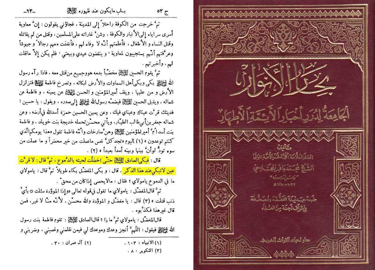 امام صادق ع شہادتِ محسن ع یاد کرکے روتے تھے