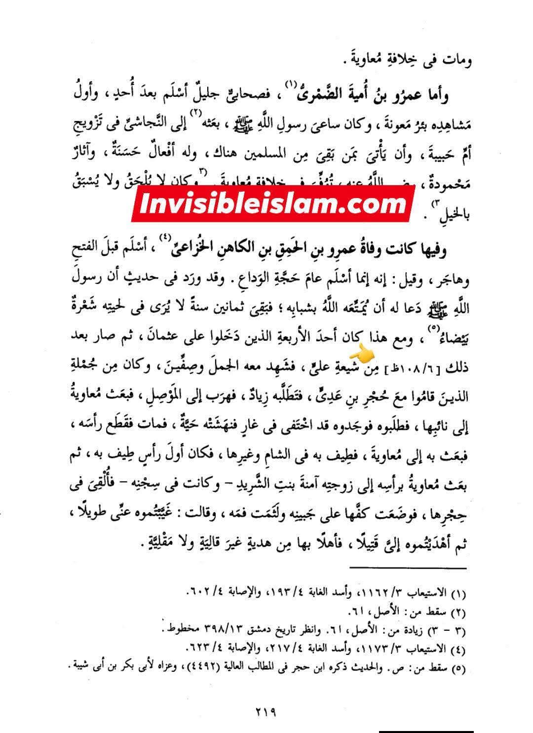 صحابی عمرو اور قاتلین عثمان