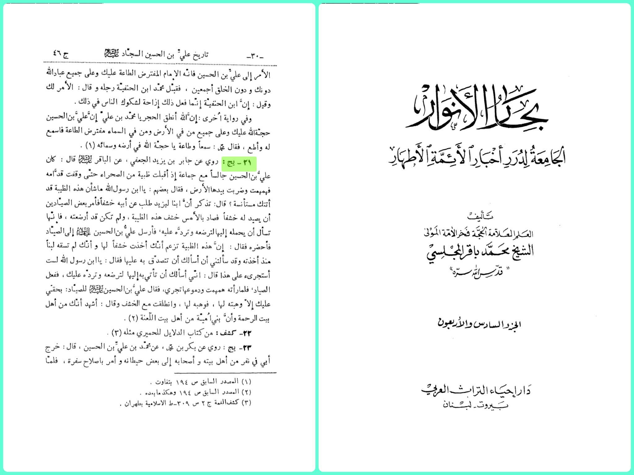 امام سجاد ع ضامن آہو