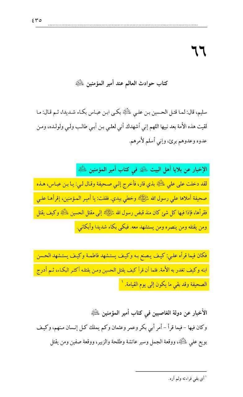 پہلی صدی ہجری میں شہادت سیدہ ص و جناب محسن ع