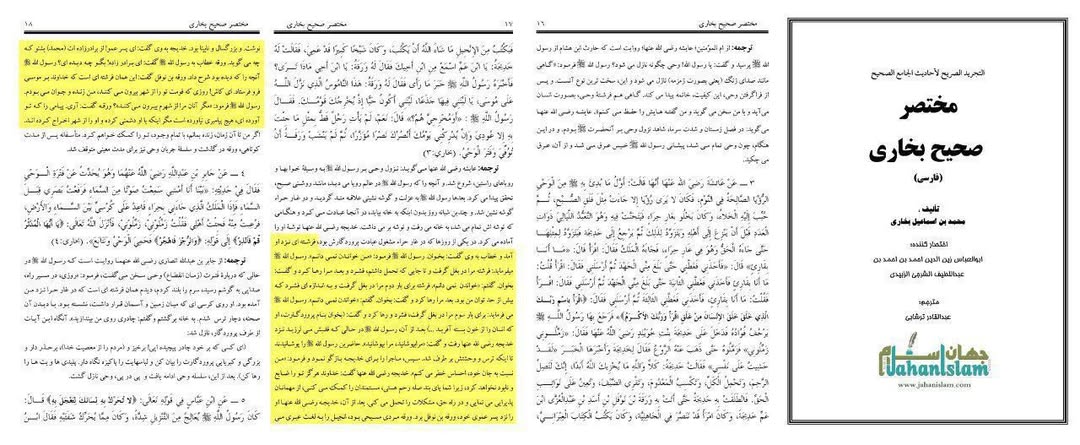 کیا رسول اللہ ص کو اپنی نبوت کا علم ورقہ بن نوفل سے ہوا ؟