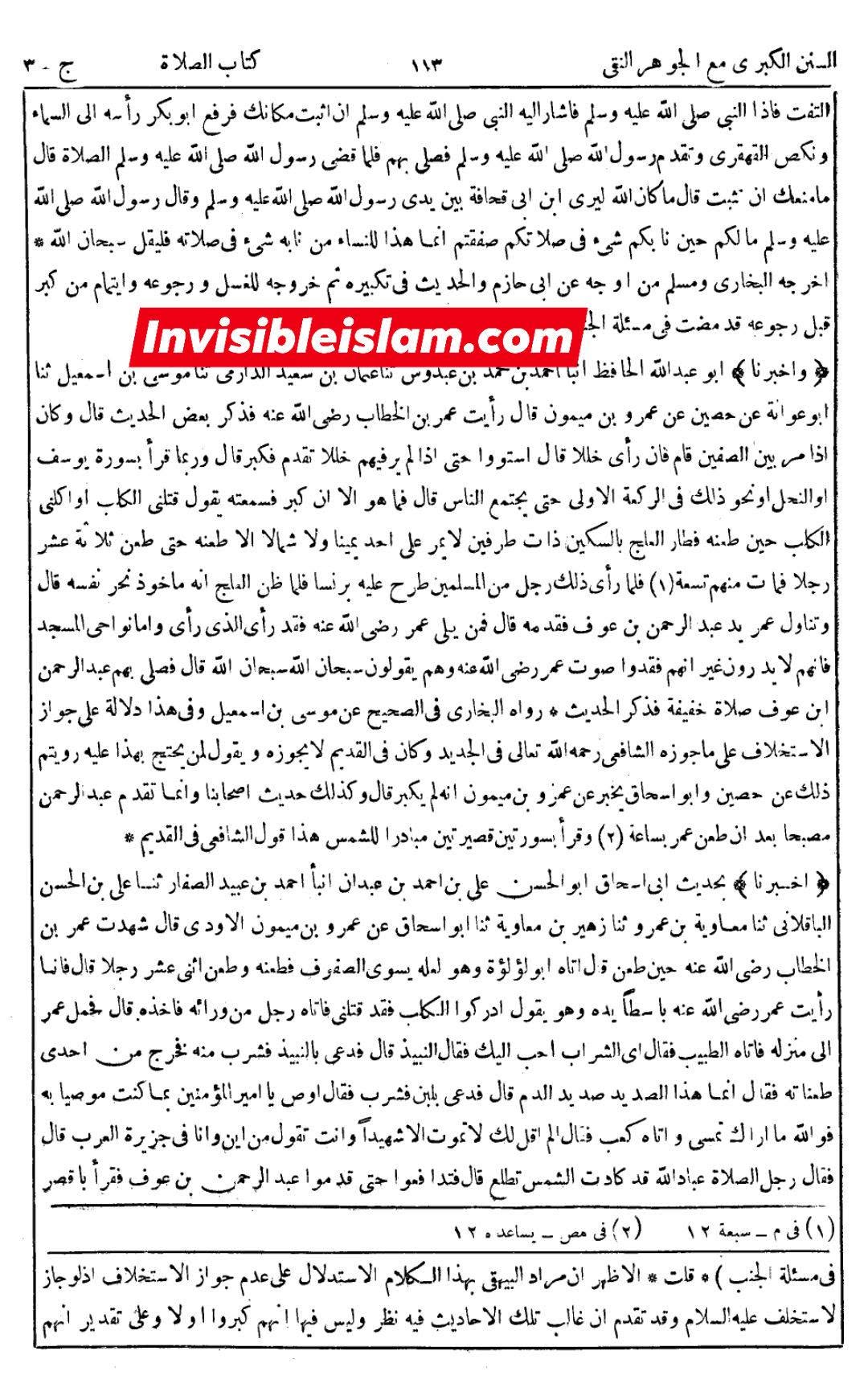 زید بن علی شراب پیتے تھے ?
