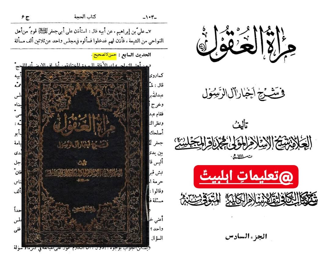 علمِ امام جواد ع