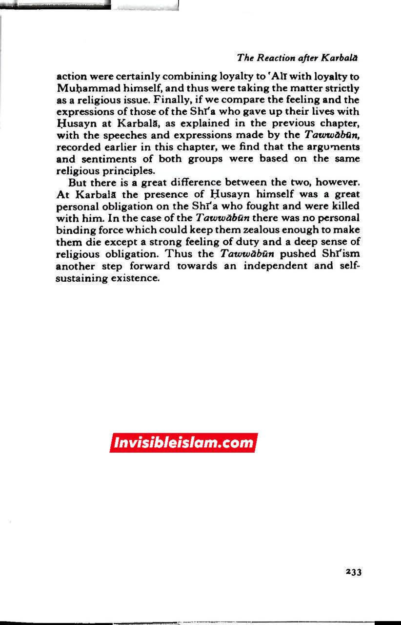مختار ثقفی نے ایرانیوں (موالی) کو وسیع پیمانے پر متحرک کر کے شیعی تحریک کو عربوں تک محدود رہنے سے نکالا اور اسے ایک عام اور فراگیر تحریک میں تبدیل کر دیا۔