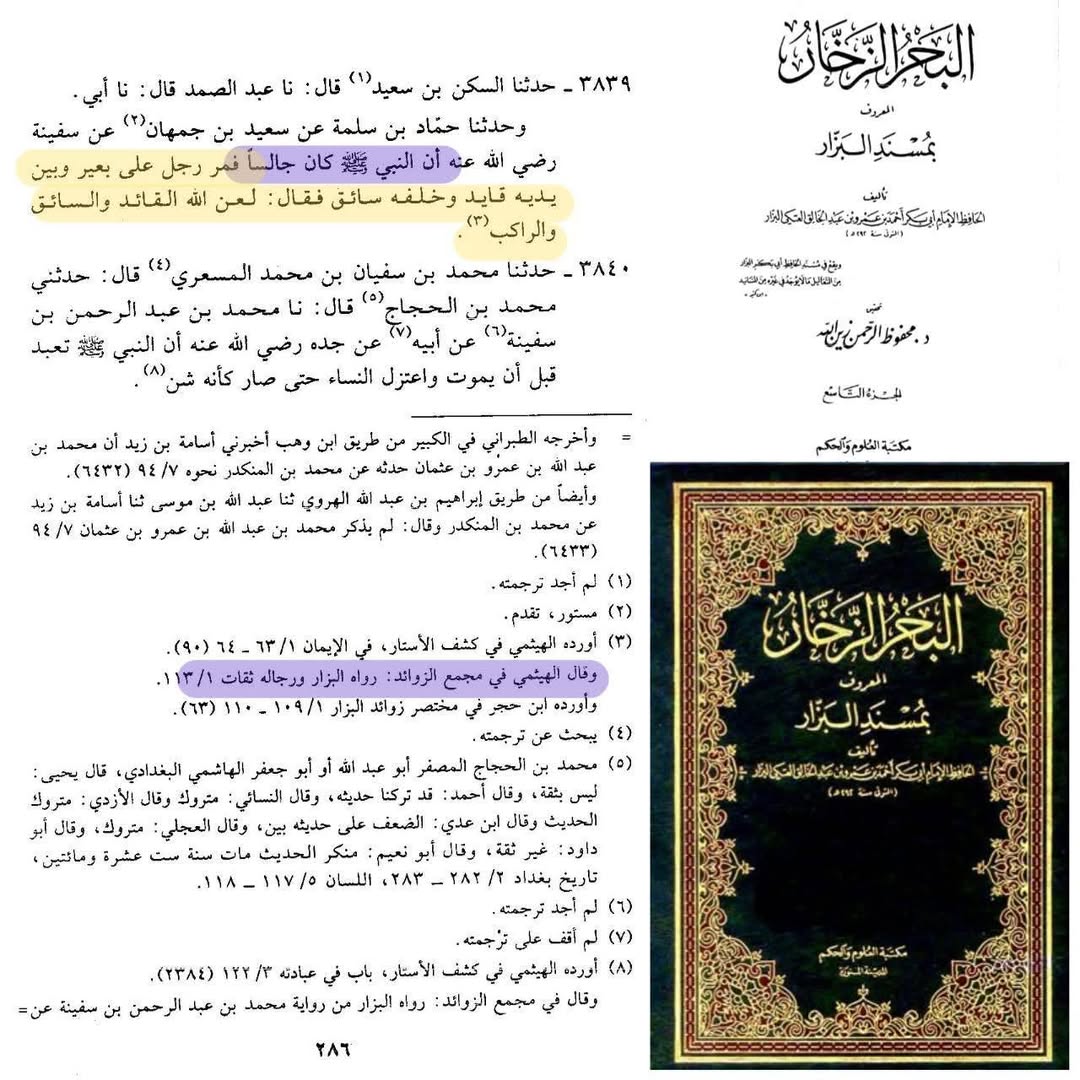 رسول خدا (ص) کا سخت الفاظ میں معاویہ پر لعنت کرنا