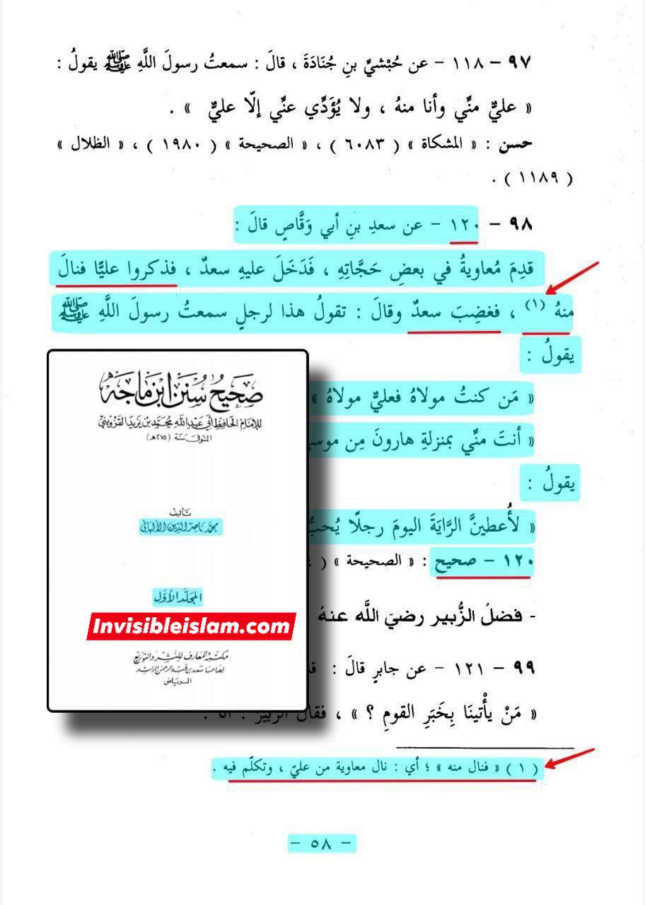 معاویہ کی علی ع کے بارے میں بدگوئی
