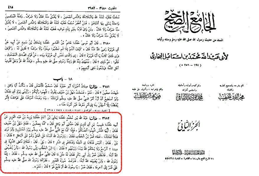 اہل سنت عالم شہر سستانی کی کتاب میں زکرِ شہادت محسن ع