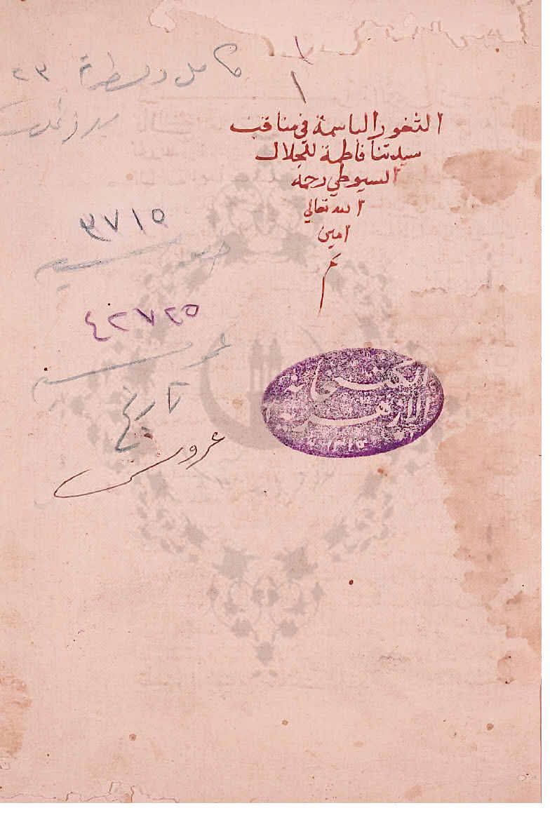 علامہ سیوطی اور زکرِ محسن بن علی ع
