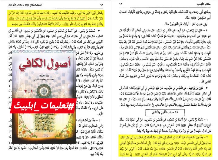 امام رضا علیہ السلام کا توحید بیان کرنا اور مخالف کو شیعہ بنا دینا