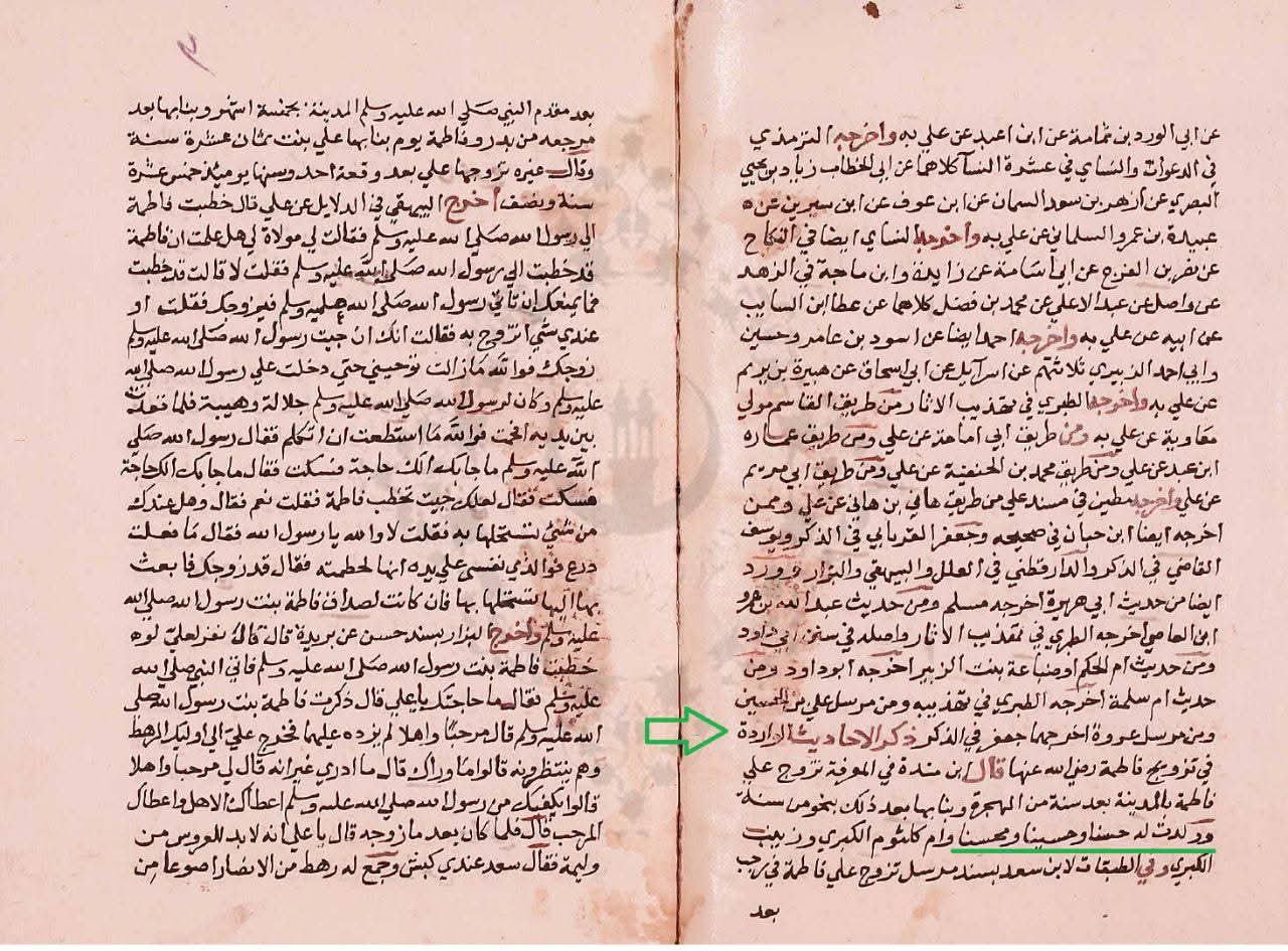 علامہ سیوطی اور زکرِ محسن بن علی ع