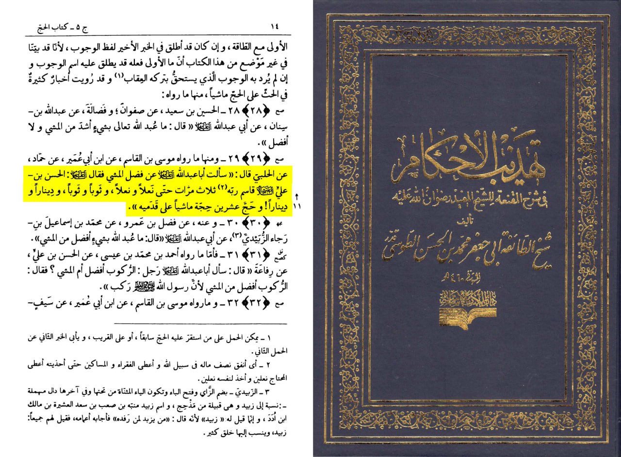 بخشش، عطا و کرم امام حسن مجتبیٰؑ