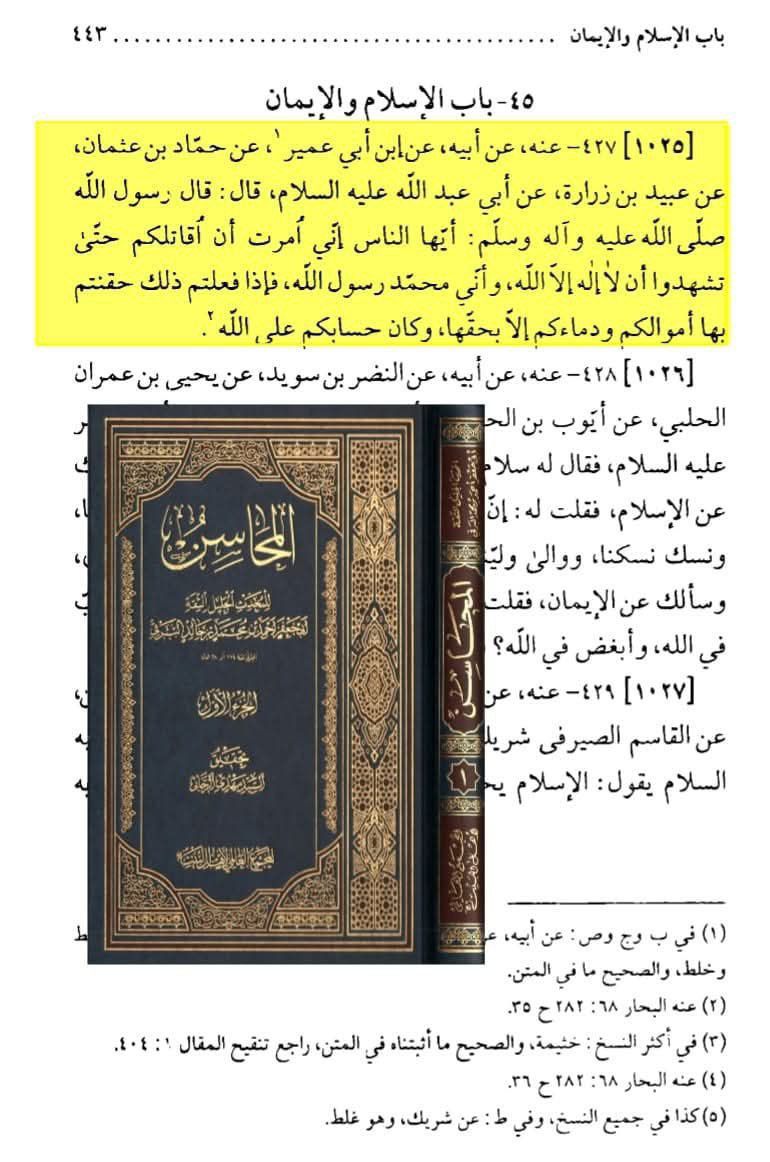 کیا شیعہ ہر اُس شخص کو کافر سمجھتے ہیں جو امامت کا عقیدہ نہ رکھتا ہو؟ Post 2