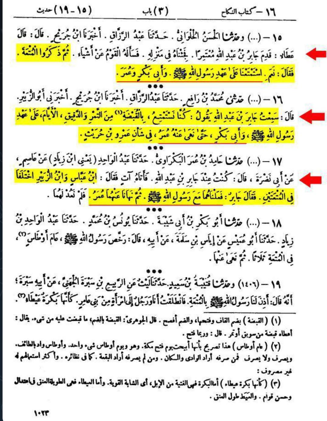 اہل سنت علامہ صفدی کی کتاب میں زکرِ شہادت محسن ع