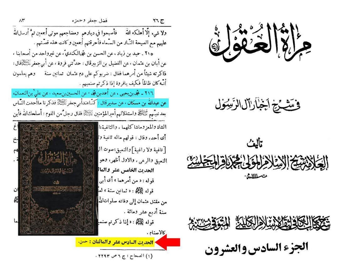 اگر حمزہ اور جعفر موجود ہوتے…