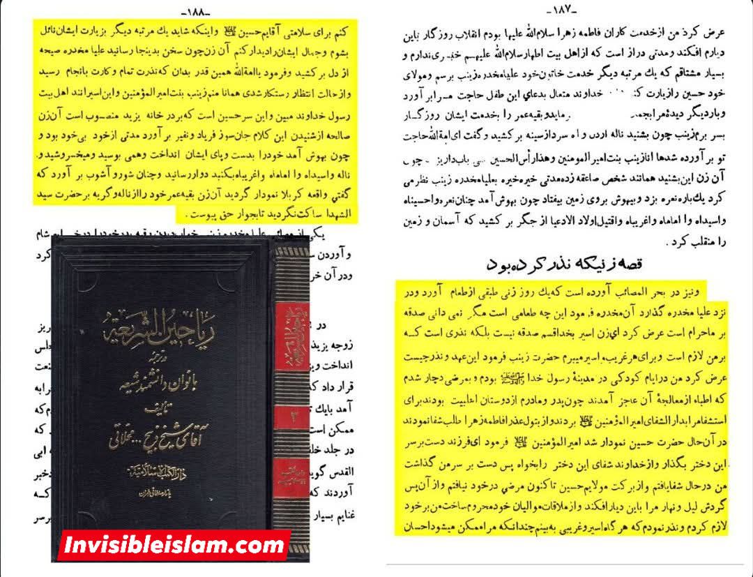 شامی عورت کے نذر کی کہانی اور اس کا حضرت زینب سلام الله علیها سے خرابهٔ شام میں دیدار