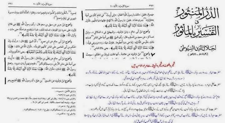 شجرہ ملعونہ