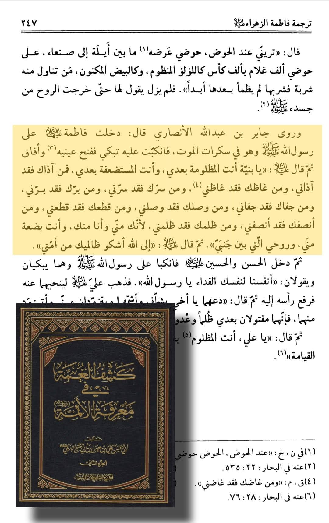 روایاتِ شہادتِ سیدہ زھراء ع اور شہادت محسن ع متواتر ہیں Post-2/2